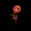Marian Hill - Unusual (LP)