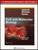 Lippincott Illustrated Reviews: Cell and Molecular Biology, 2/E