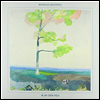 Nicholas Krgovich - In An Open Field (LP)