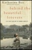 Behind the Beautiful Forevers