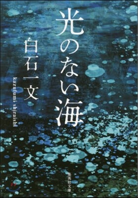 光のない海