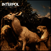 Interpol - Our Love To Admire (10th Anniversary Edition) (Gatefold)(180G)(2LP)
