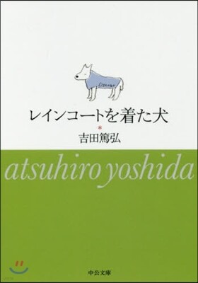 レインコ-トを着た犬
