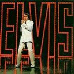 [수입] Elvis Presley - NBC Tv Special  