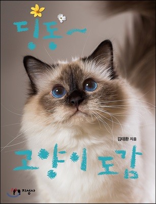 딩동~ 고양이 도감