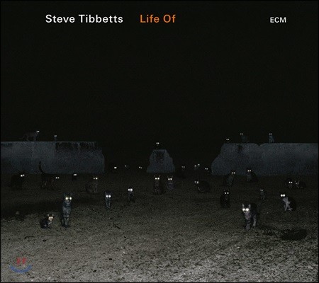 Steve Tibbetts (스티브 티벳) - Life Of