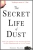The Secret Life of Dust: From the Cosmos to the Kitchen Counter, the Big Consequences of Little Things