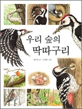 우리 숲의 딱따구리