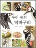 우리 숲의 딱따구리