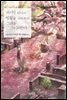 마지막 의사는 벚꽃을 바라보며 그대를 그리워한다