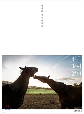 말은 말이 없다
