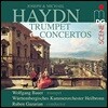 Wolfgang Bauer 요제프 하이든 / 미하엘 하이든: 트럼펫 협주곡집 (Haydn: Trumpet Concertos)