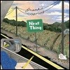 Frankie Cosmos (프랭키 코스모스) - Next Thing [LP]