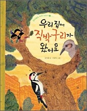 우리 집에 직박구리가 왔어요