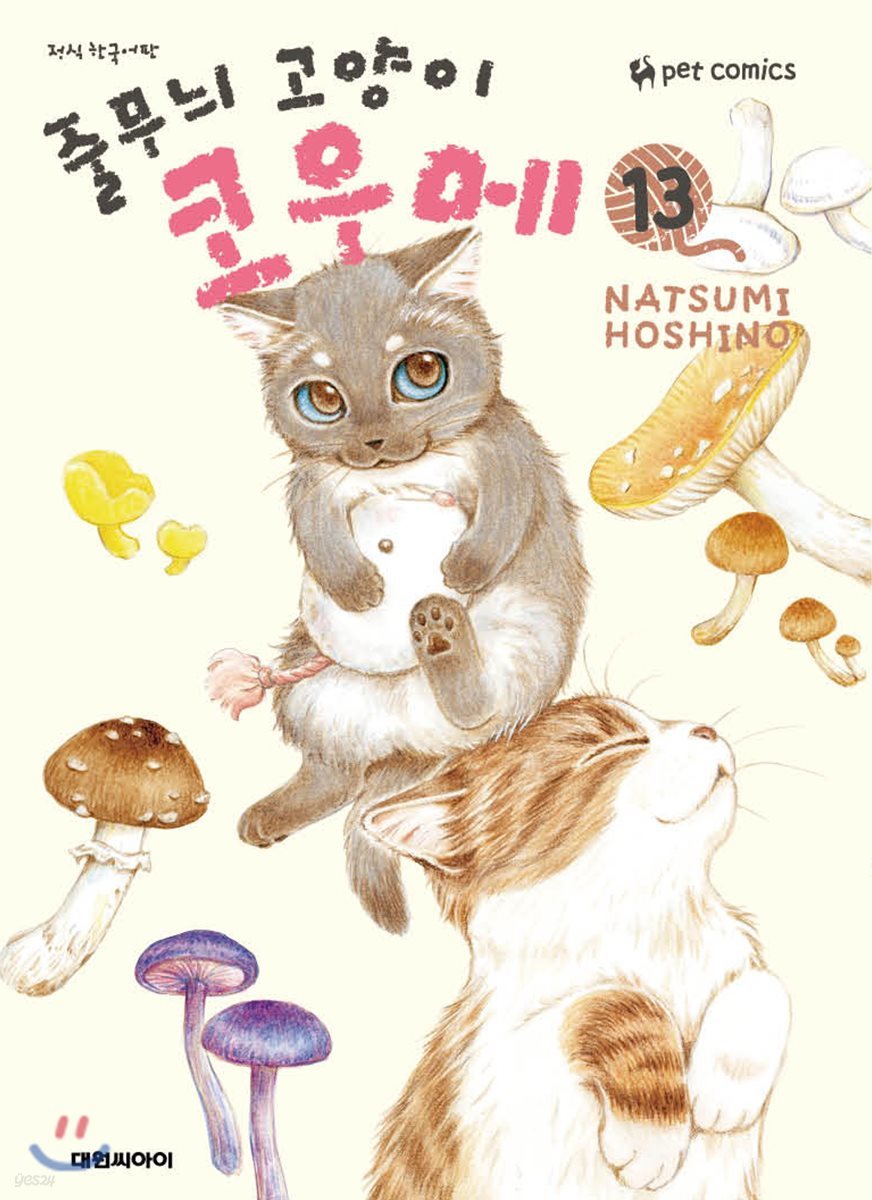 줄무늬 고양이 코우메 13