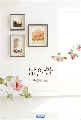 닮은꼴