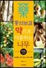 동의보감 약으로 사용하는 나무 100가지