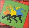Parquet Courts (파케이 코츠) - Wide Awake! [LP]