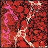 Iceage (아이스에이지) - Beyondless [LP]