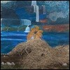 Mary Lattimore (메리 래티모어) - At The Dam [그린 컬러 LP]