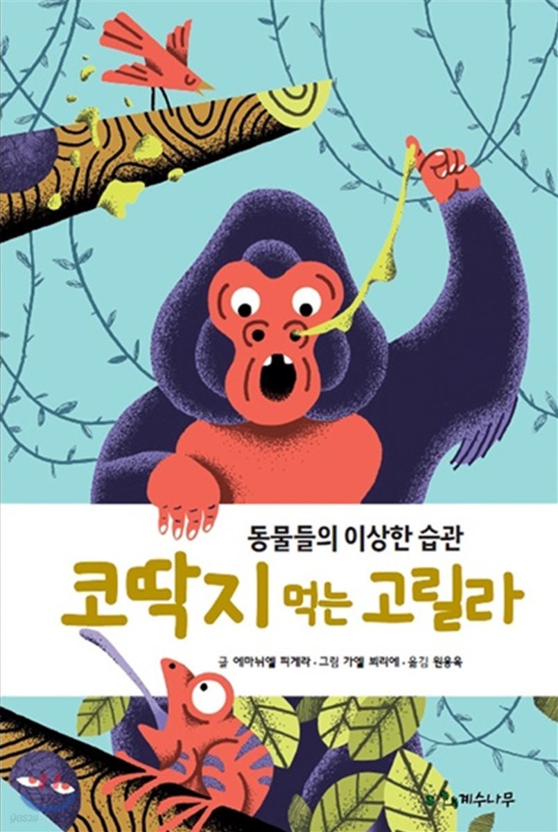 코딱지 먹는 고릴라