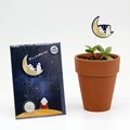 (꽃씨로 전하는 마음) 씨앗카드/It is a Beautiful Day_미니해바라기