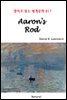 Aaron's Rod - 영어로 읽는 세계문학 817