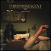 Phosphorescent (포스포레슨트) - Muchacho [LP]