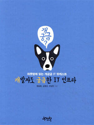 개발자도 궁금한 IT 인프라