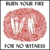 Angel Olsen (앤젤 올슨) - Burn Your Fire [LP]