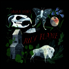 Laura Veirs - July Flame (180G)(LP)
