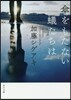 傘をもたない蟻たちは