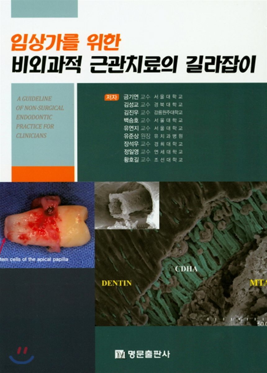 임상가를 위한 비외과적 근관치료의 길라잡이