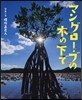 マングロ-ブの木の下で