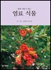 염료식물