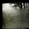 Bon Iver - For Emma, Forever Ago (LP)