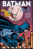A Batman by Jeph Loeb and Tim Sale Omnibus