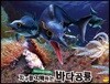 지구를 지배하는 바다공룡 키아니크디오사우루스