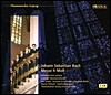 Thomanerchor Leipzig 바흐: 미사 b단조 - 성 토마스 소년 합창단 (Bach, J S: Mass in b minor, BWV232)