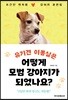 유기견 이뽕실은 어떻게 모범 강아지가 되었나요?