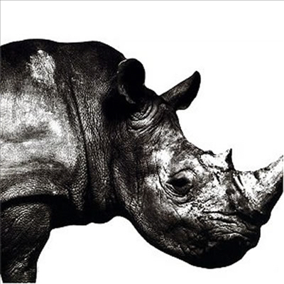 Mr.Children (미스터 칠드런) - Mr Children 1992-1995 (일본반)(CD)