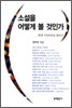 소설을 어떻게 볼 것인가
