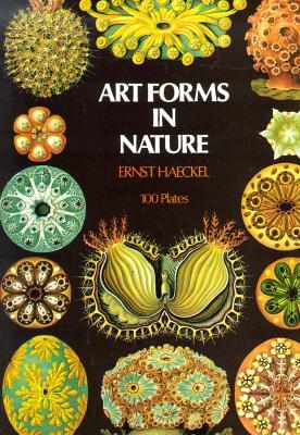 Art Forms in Nature