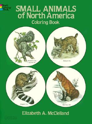 Small Animals of North America Coloring Book