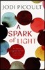 Spark of Light