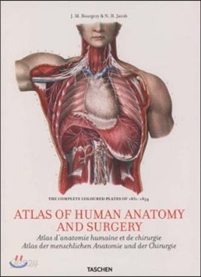 Bourgery. Atlas of Human Anatomy and Surgery