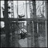 Paul Mccartney (폴 매카트니) - Chaos And Creation In The Backyard