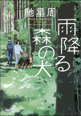 雨降る森の犬