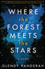 Where the Forest Meets the Stars
