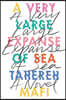 A Very Large Expanse of Sea